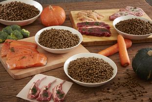 營養(yǎng)健康咨詢 2019年度寵物食品行業(yè)的核心盈利增長點(diǎn)